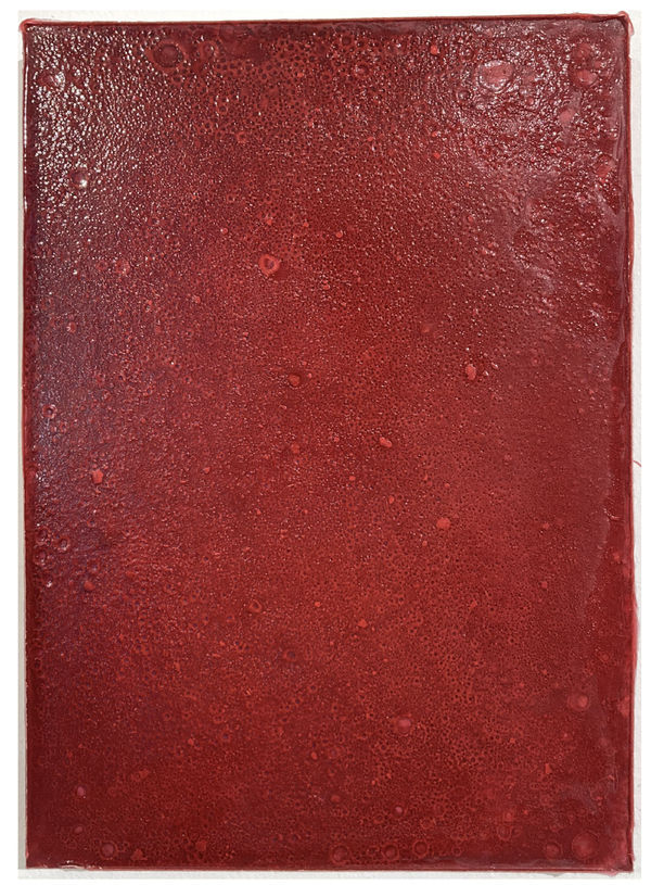 Asia Gelin, 2028-11, 2023