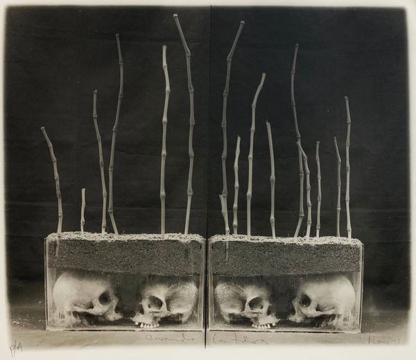 Juan Carlos Alom, Curando La Tierra, 1996-1998