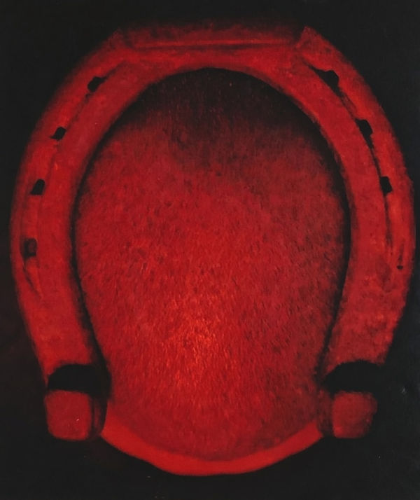 Juan Carlos Alom, Culto Obligatorio, 1997