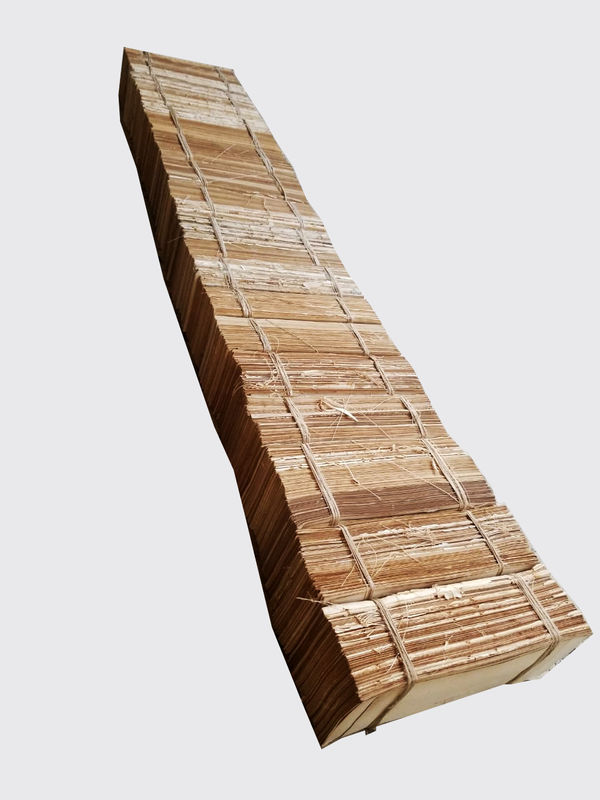 Jose Manuel Fors, Columna, 2019