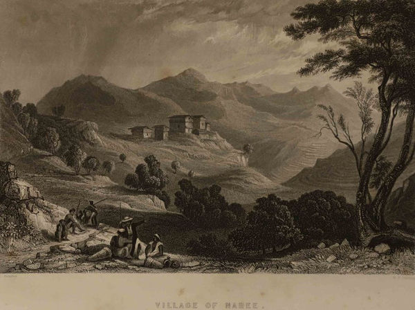 M. J. Starling, Village of Naree