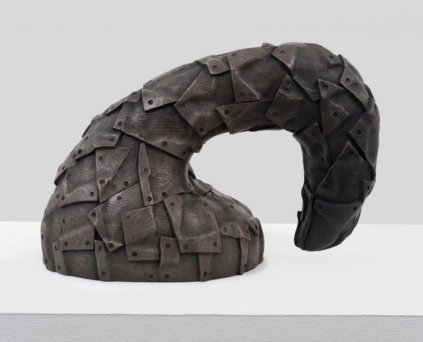 Carl D'Alvia Hook, 2024