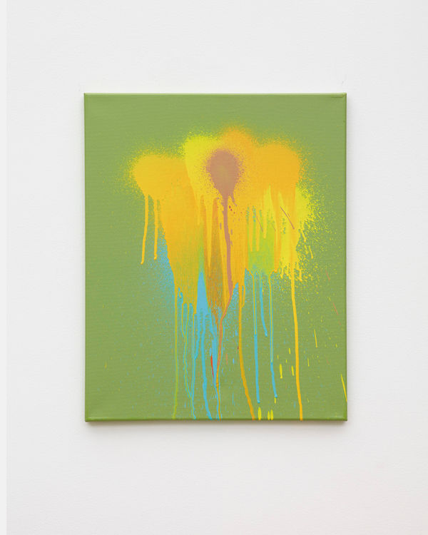 Untitled Drone Flower