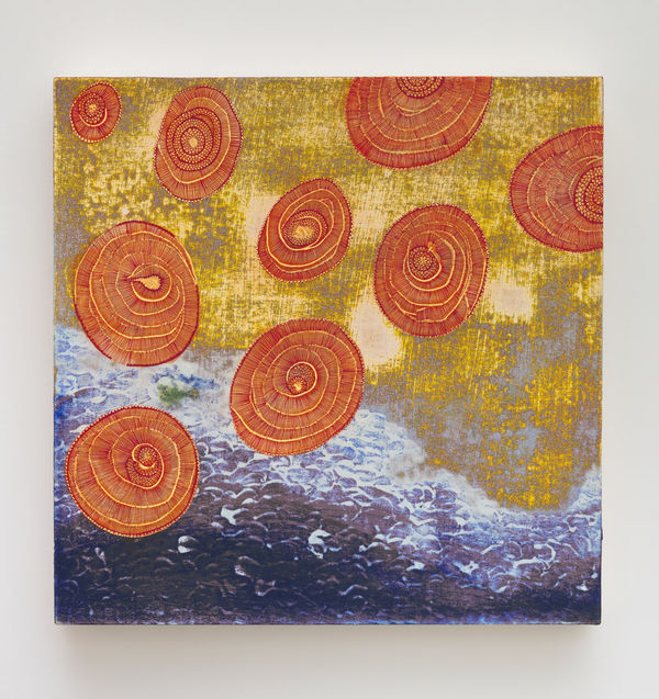 Lorenzo Hurtado Segovia Parasoles, 2024