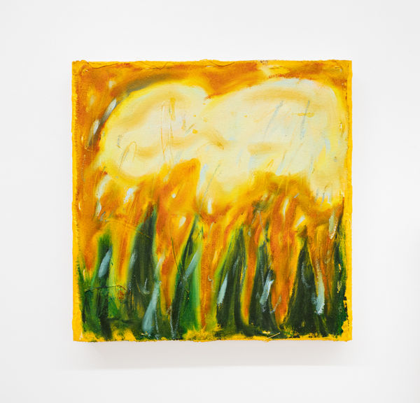 Whit Harris, Hudson Piss Cloud (study), 2024