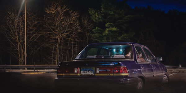 Damian Loeb, The Lady Vanishes, 2009