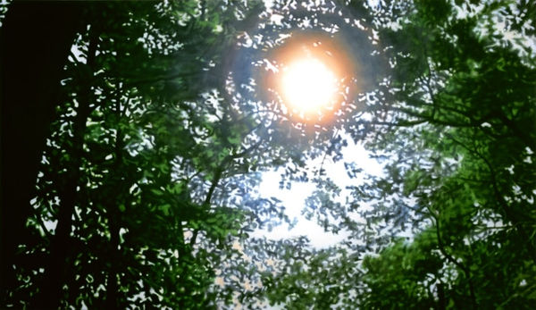 Damian Loeb, OK NOW (A LITTLE TO THE LEFT) (SFC), 2002