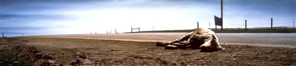 Damian Loeb, WYOMING 44-838 (I FEEL FINE), 2000