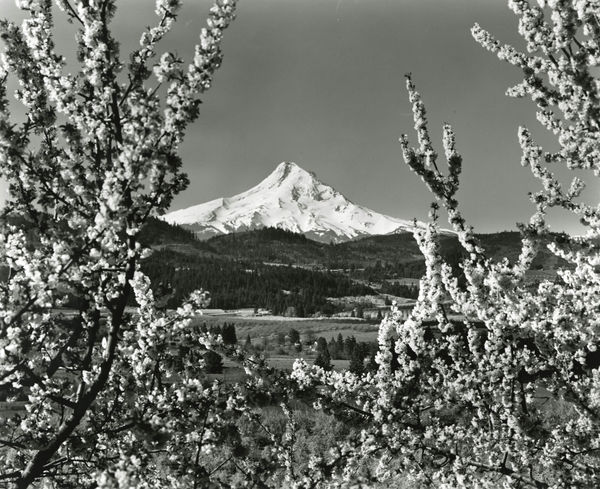 Union Pacific Railroad, Mt. Hood, Oregon, c. 1960
