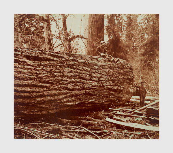 Darius Kinsey, Washington Pan American Office Log, 1902