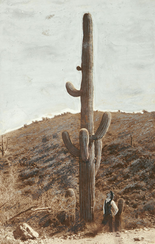 Edward Mitchell Postcard Company, Untitled (Man with Tall Cactus), 1910s-20s