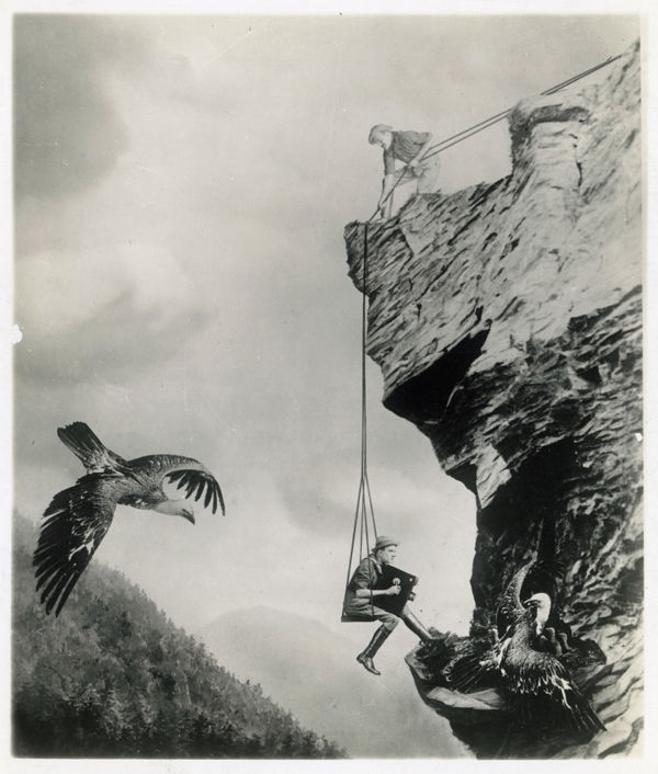 Anonymous, Photomontage captioned "Early Movie Man Photographing Eagle's Nest", c. 1920