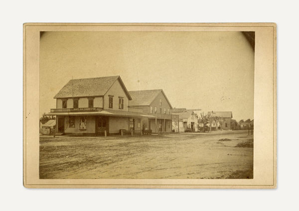 Unknown, Early View of San Leandro, Alameda County, CA, 1870s