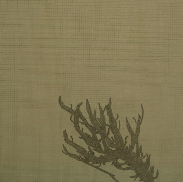 ZHANG Ruyi 张如怡 Branch 树枝, 2012 Acrylic, pencil and watercolor pen on canvas 布面丙烯，铅笔及水彩笔 40 x 40 cm