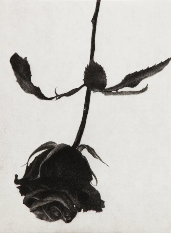 ZHANG Yunyao 张云垚 The Vanishing Midnight 消失的午夜, 2013 Graphite on felt 石墨毛毡 50.5 x 37 cm