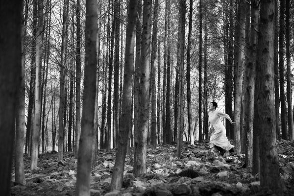 JIN Feng Lost in the Woods 迷失森林, 2014 Inkjet print on archival paper 艺术微喷在收藏级纸上 13.5 x 20.3 cm
