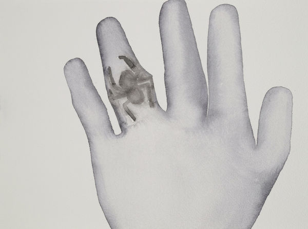 HU Zi 胡子 Spider, 2016 Gouache on paper 纸上水粉 23 x 32 cm