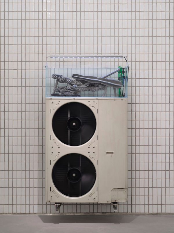 ZHANG Ruyi 张如怡 lnternal External Unit 室内外机, 2019 Air conditioner condenser, aquarium, concrete, Suckermouth catfish, heater, filter, light 空调外机，转速器，鱼缸，混凝土，清道夫，加热棒，过滤器，灯 152 x 90 x 32 cm