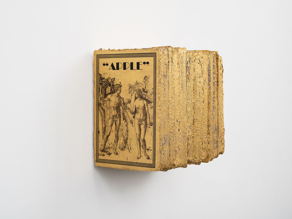 Roentgen & Forbidden Fruit 伦琴与禁果