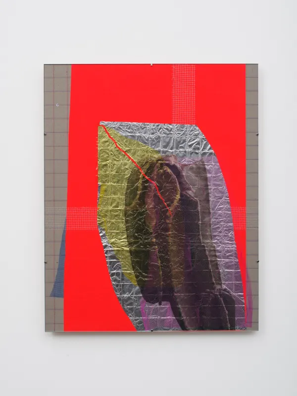 ZHANG Ruyi 张如怡 Decoration-1 装饰物-1, 2019 Aluminum foil, UV Print, clip frame, wood panel, color pencil 铝箔，UV打印，编辑框架，木板，彩铅 50 x 40 cm