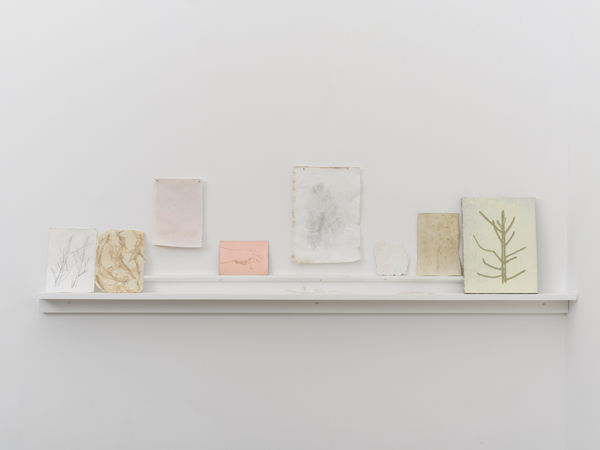 In The Garden 在园中