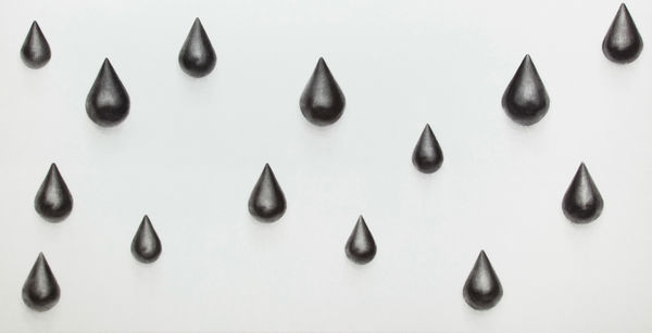 Nocturnal Rhythms 夜间节律