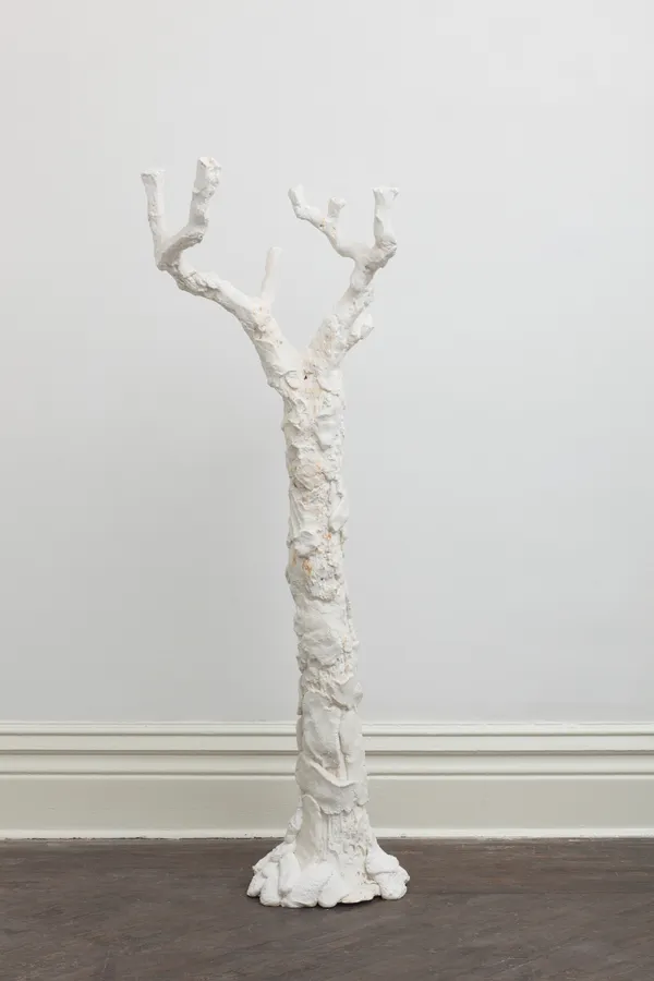 Tree N0.8 树的肖像 8