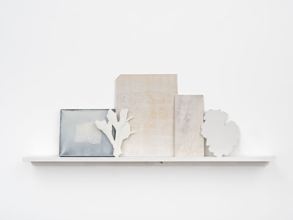 In The Garden #3 在园中 #3