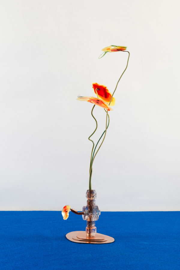 Gillian Brett, Bromus Rubens (var Papaver rhoeas), 2025