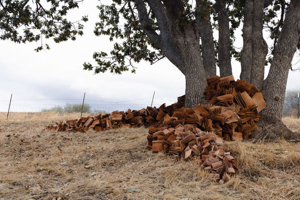 A River of Books no. 1