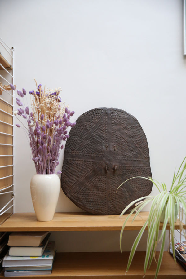 Kirdi shield (karmin), Cameroon