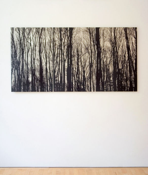 Ray Charles White, Malden Woods (Brown), 2007