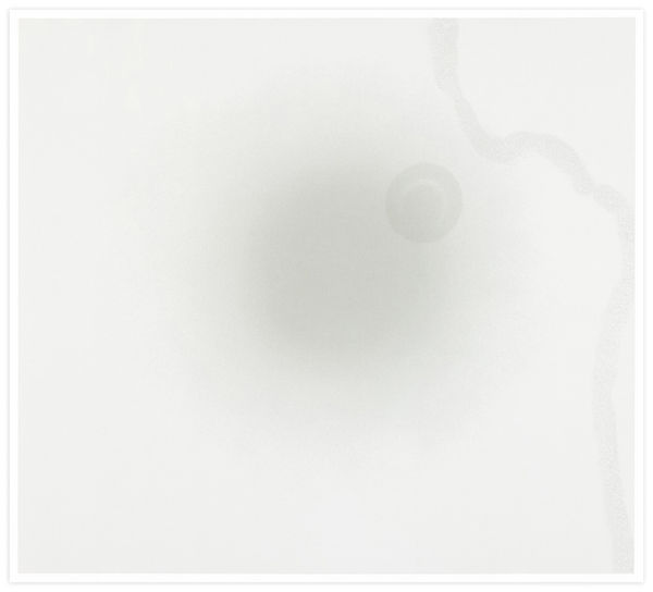 Mary Shanahan Durham Press Liquid Interference Screenprint Portfolio Edition Print