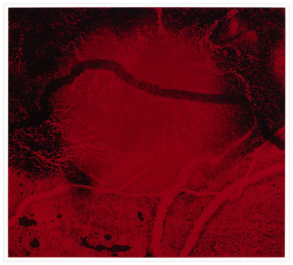 Mary Shanahan Durham Press Liquid Interference Screenprint Portfolio Edition Print