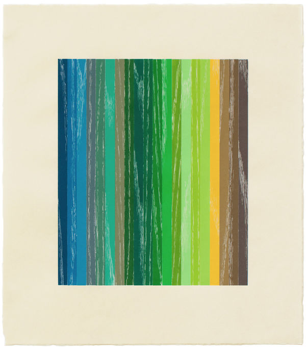 Polly Apfelbaum Wood Street Green Print Edition