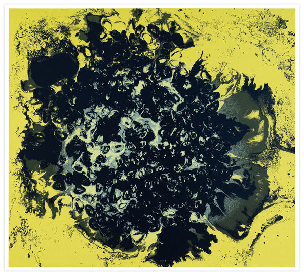 Mary Shanahan Durham Press Liquid Interference Screenprint Portfolio Edition Print