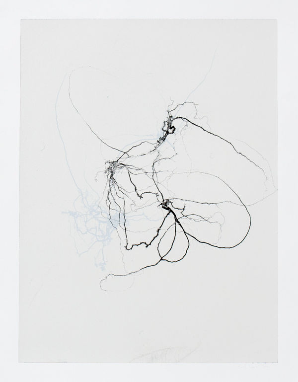 Emil Lukas Larva 7 Mono Print