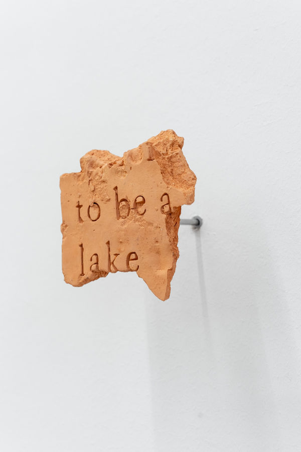 Lennart Lahuis, MURMUR (#41/ To be a lake), 2018-2024
