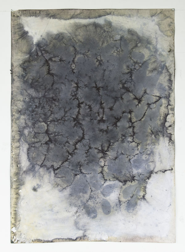 Paul Beumer, Untitled, 2014