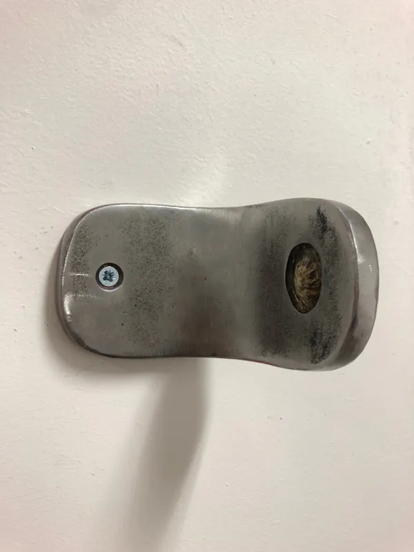 Bram de Jonghe, Acces to diversity, 2023