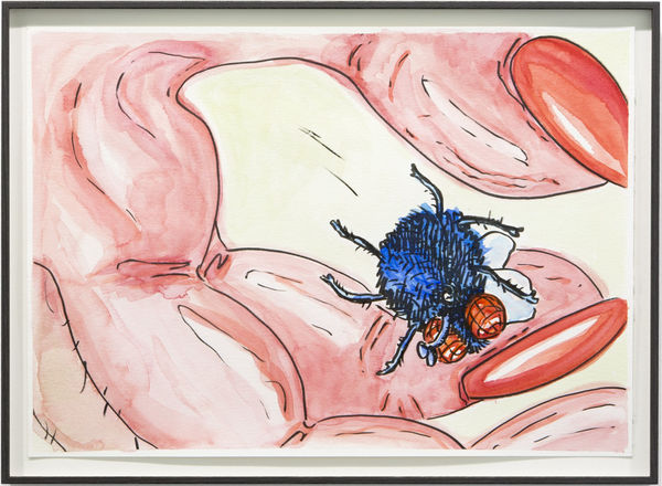 Puck Verkade, Untitled, 2019