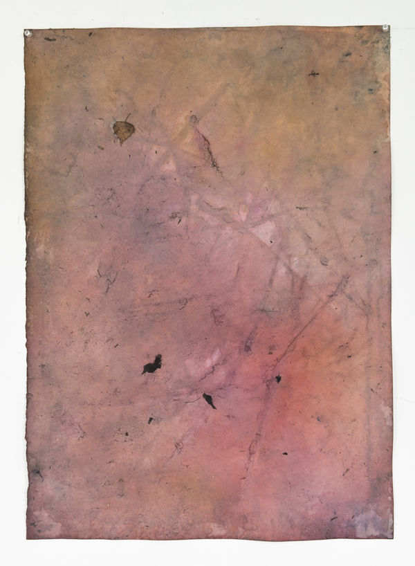 Paul Beumer, Untitled , 2014