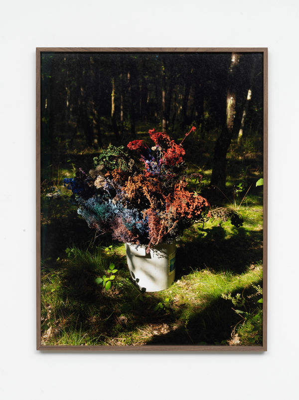 David Roth, Untitled (bouquet of brushes / Saint-Viâtre), 2021