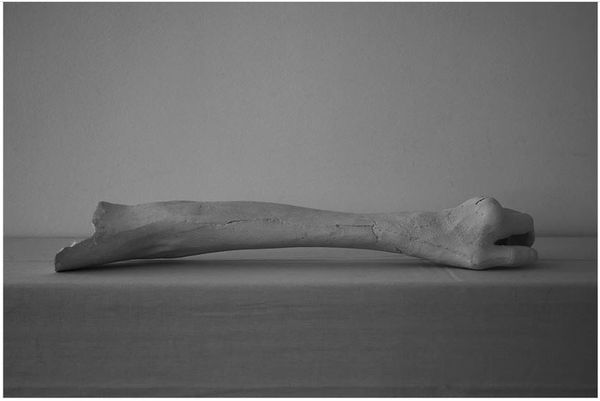 Chen Cohen, Untitled, 2019