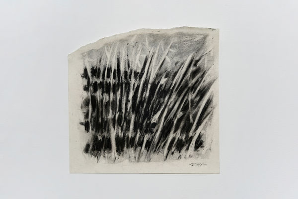 令詠 Ling Yung, 清明夢 Lucid Dream, 2023 - 2024