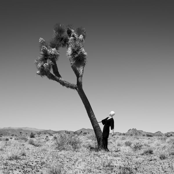 Astrid Verhoef, Dance , 2022