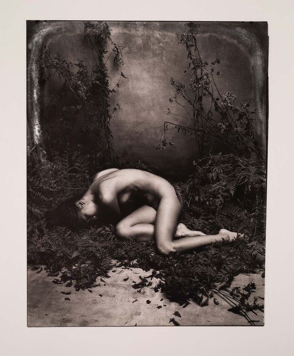 Jan C. Schlegel Kim with Fern I, 2020