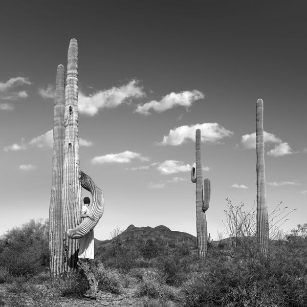 Astrid Verhoef, Embrace, 2023