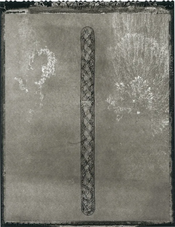 Jan C. Schlegel, Plate #29, 2024