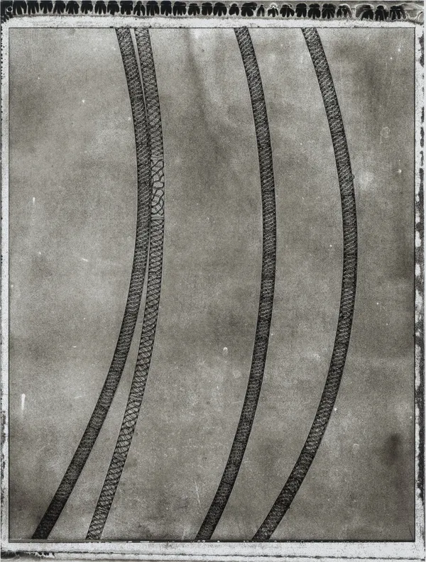 Jan C. Schlegel, Plate #28, 2024